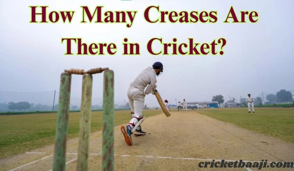 How Many Creases Are There in Cricket? Complete Guide for Beginners