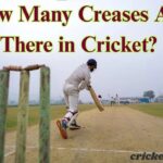 How Many Creases Are There in Cricket? Complete Guide for Beginners