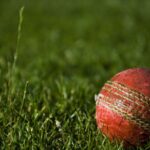 The Complete Guide to Using Online Sports Betting Platforms for Cricket Matches